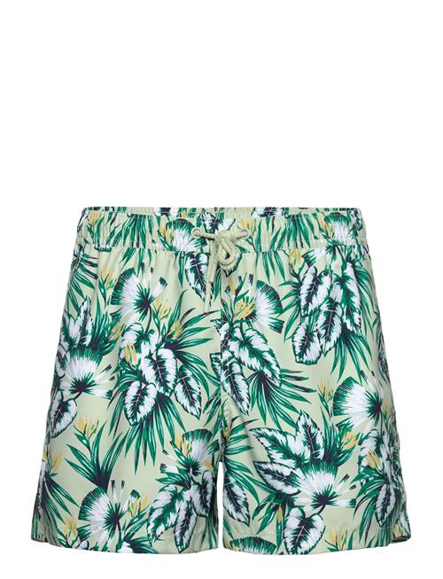 Björn Borg Borg Print Swim Shorts Björn Borg Green