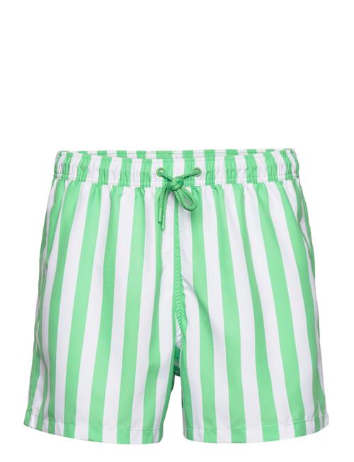 Björn Borg Borg Print Swim Shorts Björn Borg Green