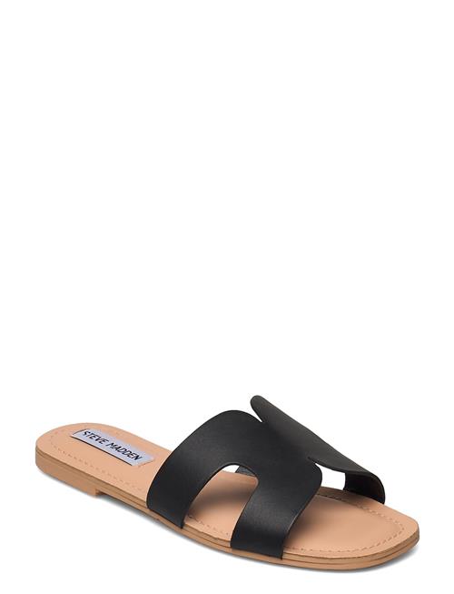 Steve Madden Zarnia Sandal Steve Madden Black