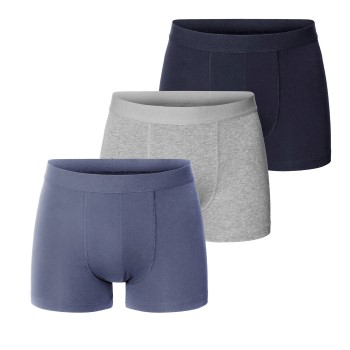 Bread & Boxers Bread and Boxers Boxer Briefs 6P Flerfarvet-2 økologisk bomuld X-Large Herre