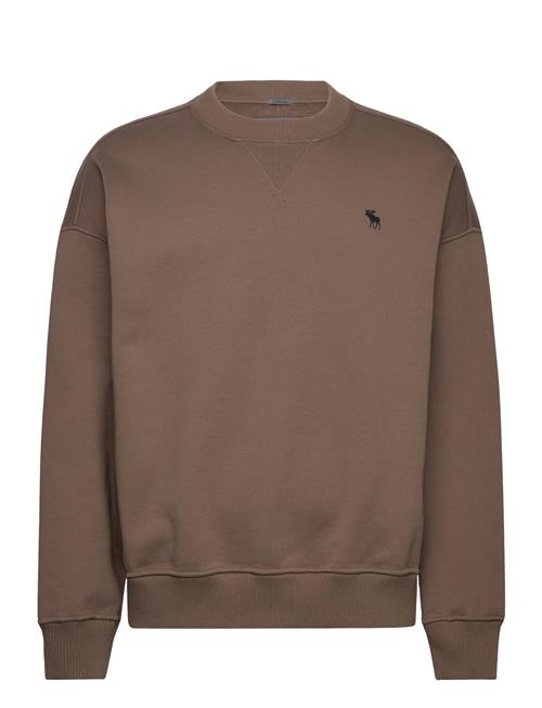 Se Abercrombie & Fitch Anf Mens Sweatshirts Abercrombie & Fitch Brown ved Booztlet