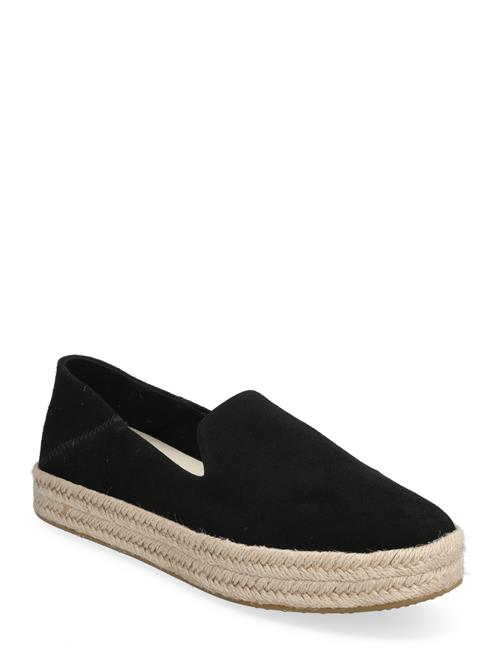 Carolina TOMS Black