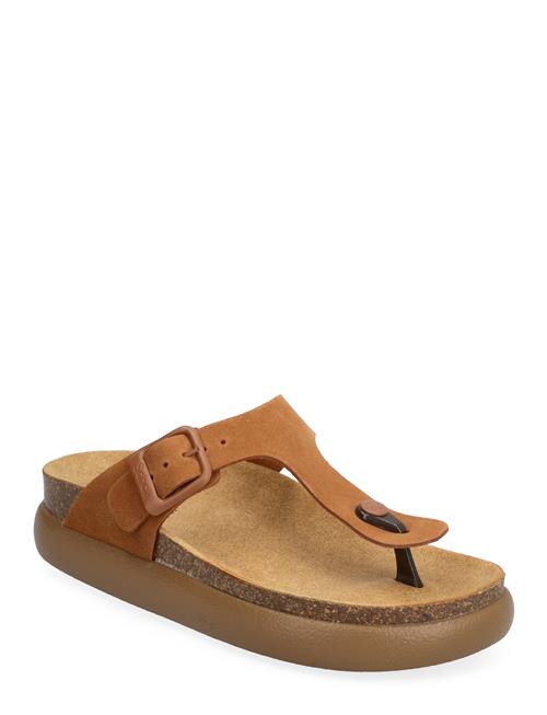 Se Scholl Sl Anais Chunky Suede Scholl Brown ved Booztlet