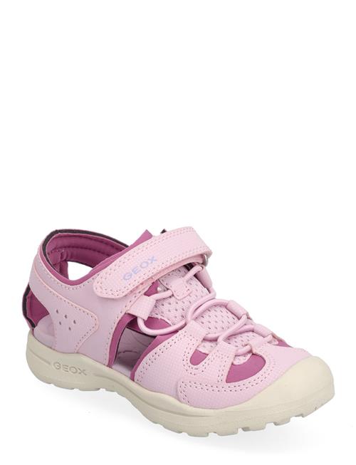 GEOX J Vaniett Girl B GEOX Pink