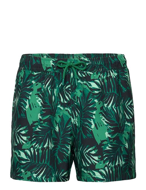 Björn Borg Borg Print Swim Shorts Björn Borg Green