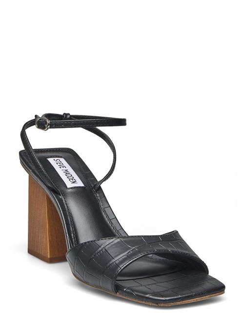 Se Steve Madden Rozlyn Sandal Steve Madden Black ved Booztlet