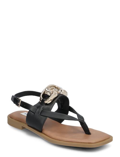 Genie Sandal Steve Madden Black