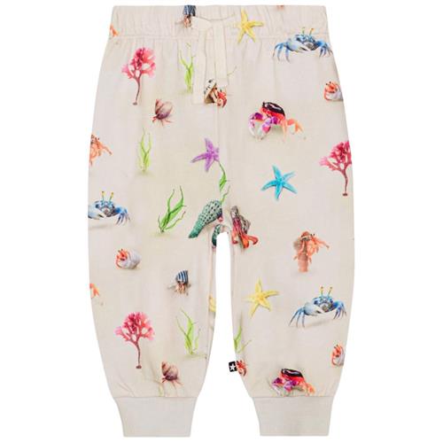 Se Molo GOTS Simeon Joggingbukser Hermit Crab | Beige | 74 cm ved Babyshop