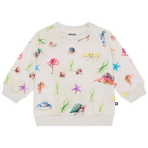 Se Molo GOTS Disc Sweatshirt Hermit Crab |  | 68 cm ved Babyshop