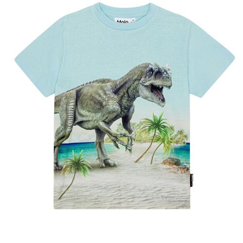 Se Molo GOTS Roxo T-shirt Beach Dino | Blå | 98 cm ved Babyshop