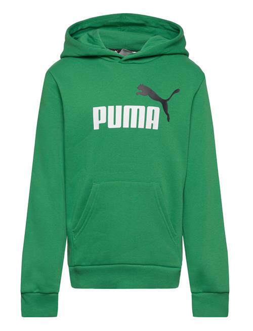 PUMA Ess+ 2 Col Big Logo Hoodie Fl B PUMA Green