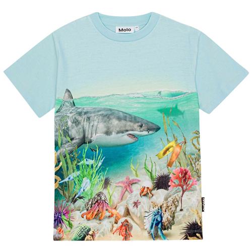 Molo GOTS Roxo T-shirt Shore Life | Blå | 92 cm