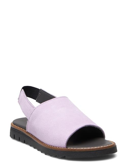 ANGULUS Sandals - Flat - Open Toe - Op ANGULUS Purple