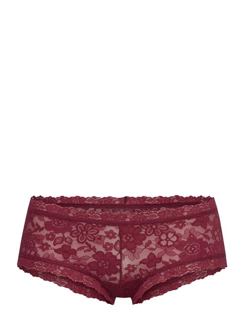 Hanky Panky Hanky Panky Daily Lace Hanky Panky Burgundy