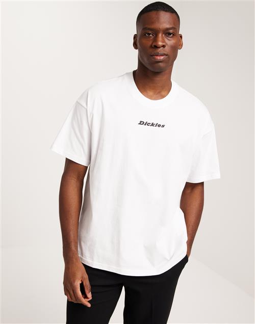 Dickies Enterprise Tee Ss Oversized t-shirts White