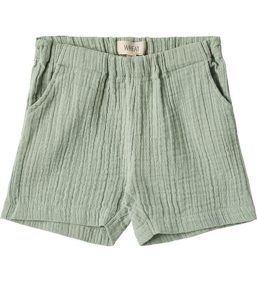 Wheat Shorts - Luca - Aquaverde