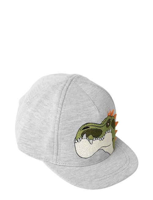 Nmmmonte Gigantosaurus Cap Vde Name It Grey