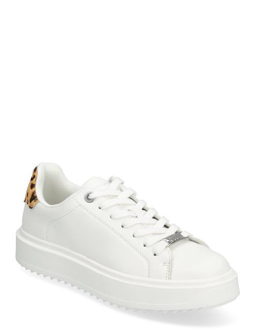 Catcher Sneaker Steve Madden White