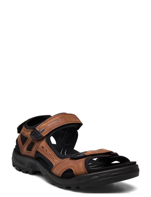 Se ECCO Offroad ECCO Brown ved Booztlet