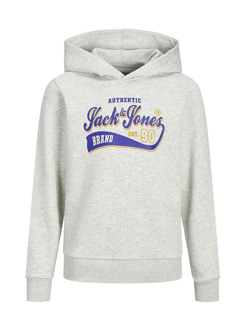 Se Jack & Jones Jjelogo Sweat Hood 2 Col 22/23 Noos Jnr Jack & J S Grey ved Booztlet