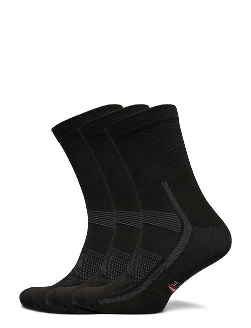 Se Danish Endurance Cycling Regular Socks 3-Pack Danish Endurance Black ved Booztlet