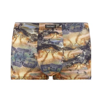 Bruno Banani Golden Africa Hipshort Flerfarvet polyester Large Herre