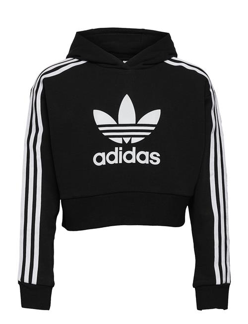 adidas Originals Adicolor Cropped Hoodie Adidas Originals Black