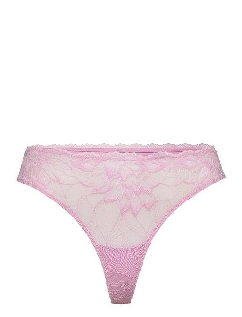 Calvin Klein Thong Calvin Klein Pink