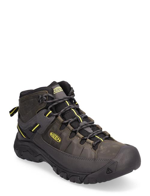 KEEN Ke Targhee Iii Mid Wp M-Forest Night-Evenin KEEN Black