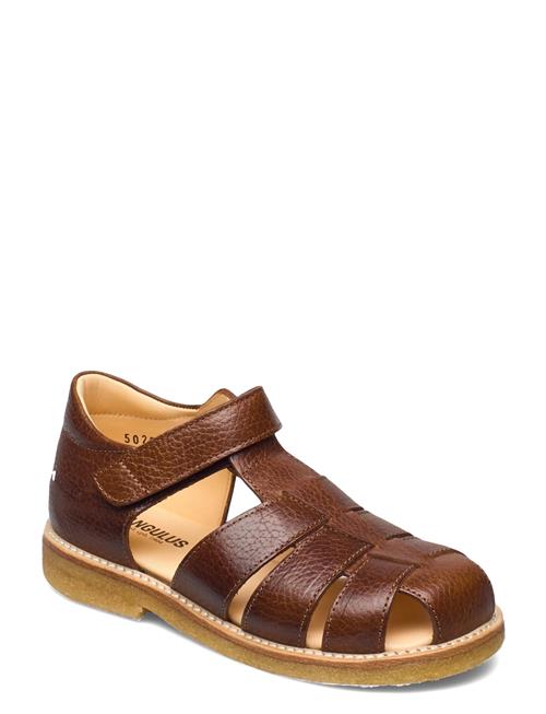 ANGULUS Sandals - Flat - Closed Toe - ANGULUS Brown