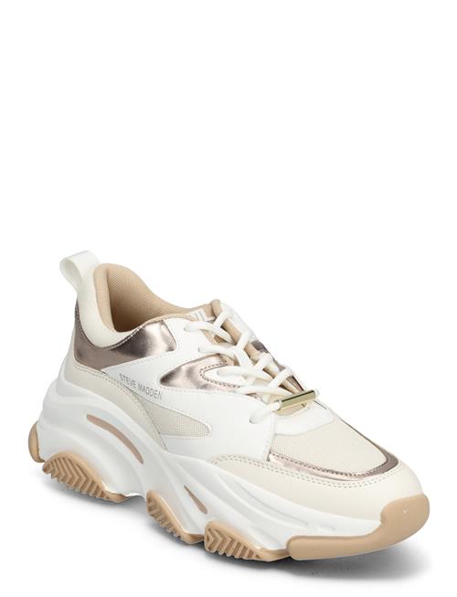 Steve Madden Progressive Sneaker Steve Madden Cream