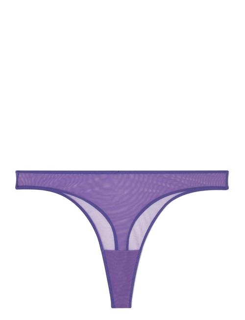 Understatement Underwear Mesh Thong Understatement Underwear Purple