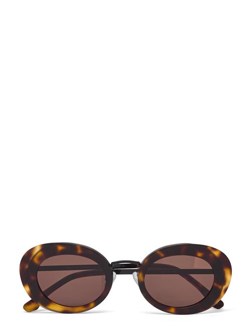 Cloud Tortoise Corlin Eyewear Brown