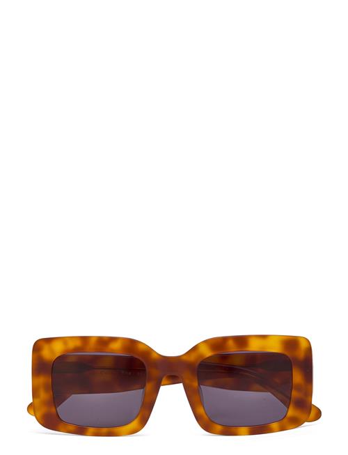 Corlin Eyewear West Havana Black Corlin Eyewear Brown