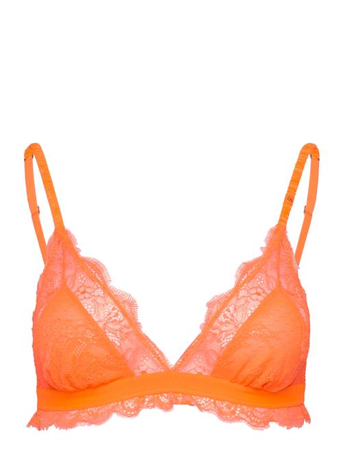 Love Stories Love Lacy Love Stories Orange