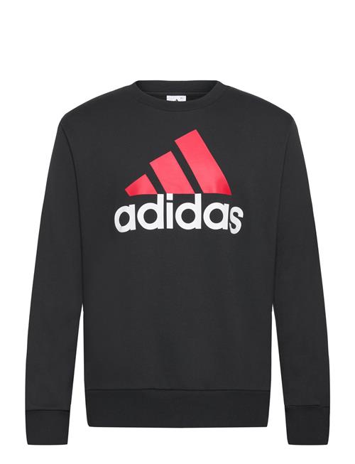 adidas Sportswear Essentials French Terry Big Logo Sweatshirt Adidas Sportswear Black