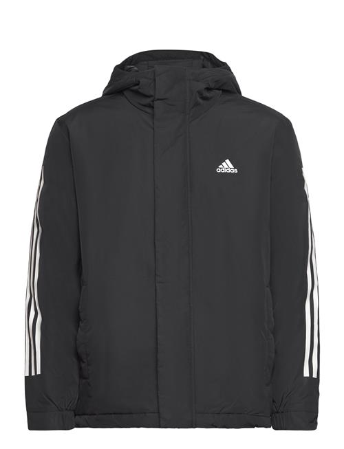 3S Hooded Jkt Adidas Sportswear Black