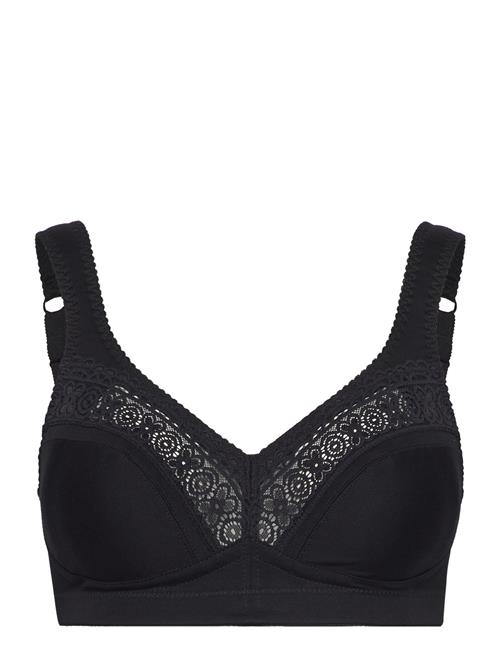 Cotton Star Soft Bra Black Swegmark Black