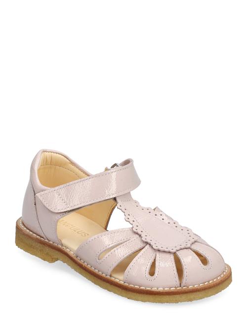 ANGULUS Sandals - Flat - Closed Toe ANGULUS Pink