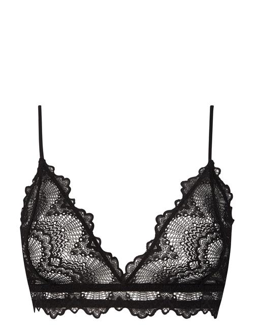 Saboteur Lace Bralette Understatement Underwear Black