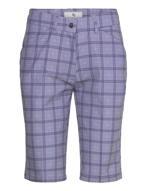 Lexton Links Sandy Golf Shorts Lexton Links Grey