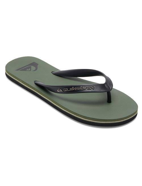 Quiksilver Molokai Core Quiksilver Green