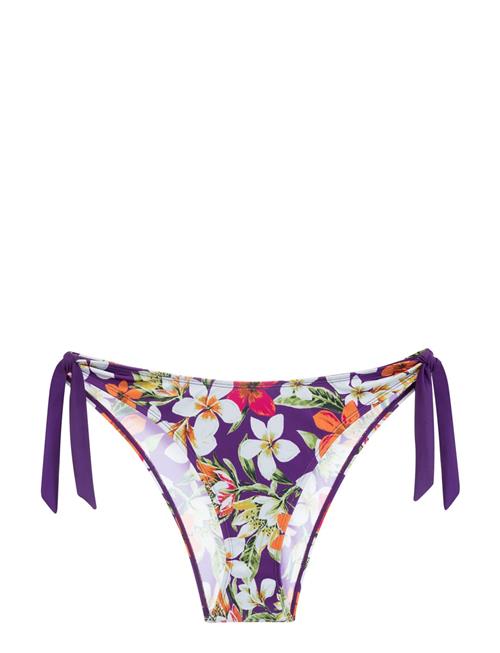 Anamuya Brief Dorina Purple