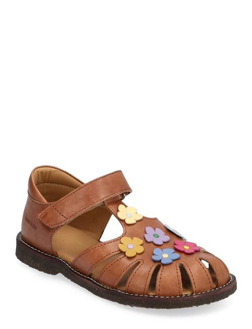 Se ANGULUS Sandals - Flat - Closed Toe - ANGULUS Brown ved Booztlet