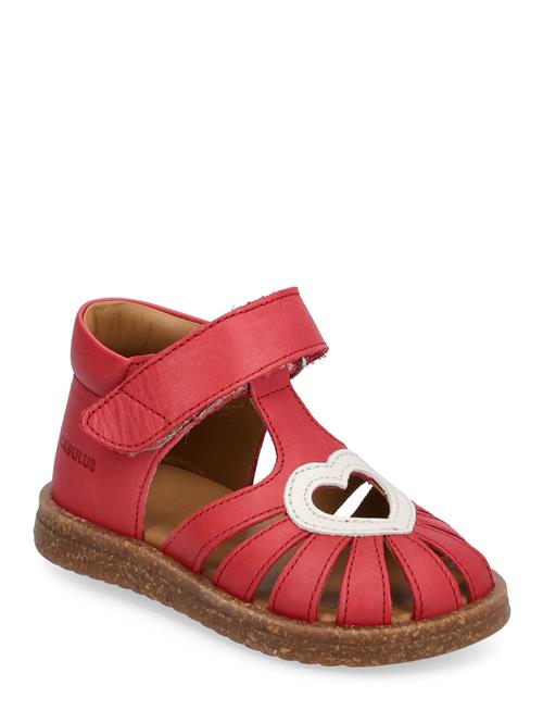 Se ANGULUS Sandals - Flat - Closed Toe - ANGULUS Red ved Booztlet