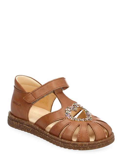 ANGULUS Sandals - Flat - Closed Toe - ANGULUS Brown