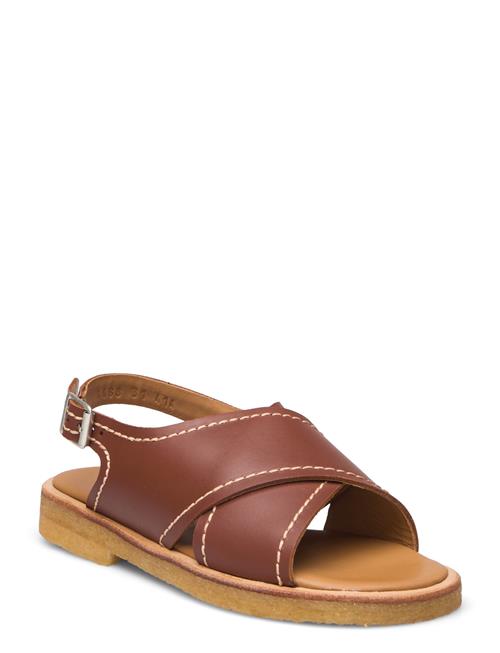 ANGULUS Sandals - Flat - Open Toe - Op ANGULUS Brown