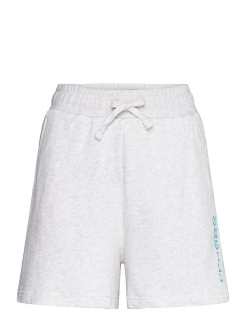 O'neill Beach Vintage Shorts O'neill Grey