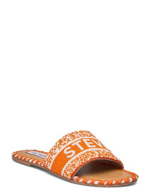 Se Steve Madden Verah Sandal Steve Madden Orange ved Booztlet