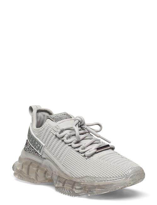 Steve Madden Maxilla-R Sneaker Steve Madden Grey